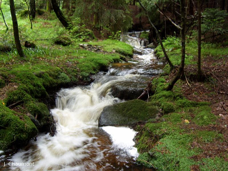 ruisseau définition C'est quoi